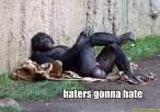 haters-gonna-hate-monkey-crossed legs-1291945299k.jpg