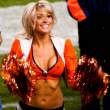 nfl-cheerleaders-cleavage-54.jpg