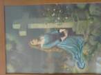 DSC00222.JPG