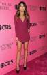 23579_AlessandraAmbrosioMirandaKerrLilyAldridge_2011VictoriasSecretFSparty_291111_101_122_648lo.jpg