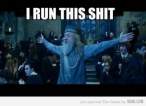 dumbledore.jpg