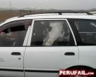 meanwhile_in_peru_640_49.jpg