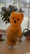 dogs-funny-awesome-10.jpg