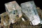 E4251010-Rock_salt_crystals-SPL.jpg