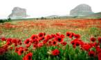 gorgeous_iranian_nature_photos_640_25.jpg