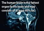curious_facts_about_our_brain_640_12.jpg