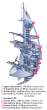 SeaOrbiterCutAway.gif