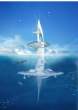 seaorbiter-11.jpg