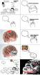 frickin-brain-2_o_883647.jpg