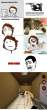 Cat-the-ultimate-weapon_c_130222.jpg
