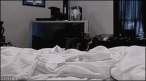 critter_tumblr_m7io6kQlrL1qdlh1io1_r1_400.gif