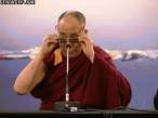 lama.gif