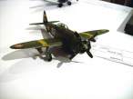 BLuka21feb13thunderbolt sm 02.jpg