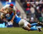 sports-balls-replaced-cats.jpg