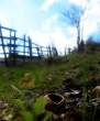 DSCN9640.JPG