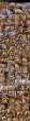 5.jpeg
