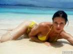 adrianne-curry-yellow-bikini-on-twitter-03-580x435.jpg