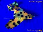 STFB-4crnPege&Izgled 011s r.jpg