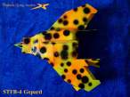 STFB-4crnPege&Izgled 012s r.jpg