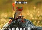 question.jpg
