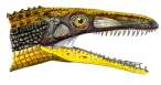 Terrestrisuchus_gracilis_by_PaleoAeolos.jpg
