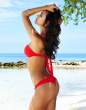 1_1155031_ZM_RED_BACK_2.JPG
