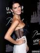 angie-harmon-sideboob-in-see-through-dress-at-unicef-snowflake-ball-08-435x580.jpg