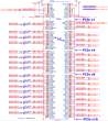 pcie-slot.gif