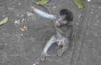 tumblr_mdtgd3hLS91qh9dubo1_250.gif