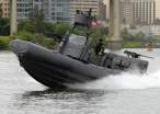 nsw-rhib-hr sm.jpg
