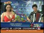 TV Antenna  62_TV_20140624_131557.mpg_000335360.jpg