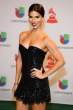roselyn-sanchez-at-15th-annual-latin-grammy-awards_4.jpg
