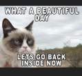 Beautiful-Day-Grumpy-Cat2.jpg