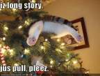 funny-pictures-cat-is-stuck-in-your-christmas-tree.gif