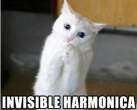 058bdb95707dc4ff179db0961a5dce6a-Copy.gif