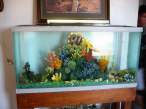 Cool-Aquarium-Decorations-with-the-reef.jpg