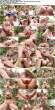 18798176_rachelroxxx-trailertrashhoes_s.jpg
