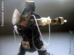 SmahunianWarrior 101s r.jpg