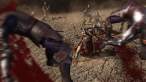 Berserk-Koei-Tecmo_2016_07-07-16_017.jpg