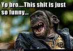 monkey-too-funny.jpg