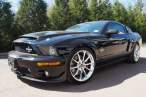 Mustangshelby.jpeg