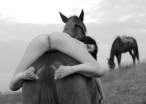 Horse06.jpg