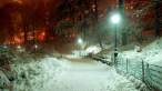 % city_lights_snow_light_building_park_evening_sidewalk_fence_trees_58873_1920x1080.jpg